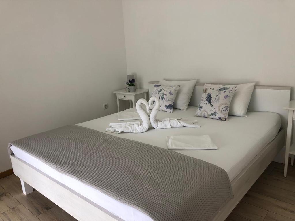 Apartments Bucica Dvori Starigrad Paklenica Dış mekan fotoğraf