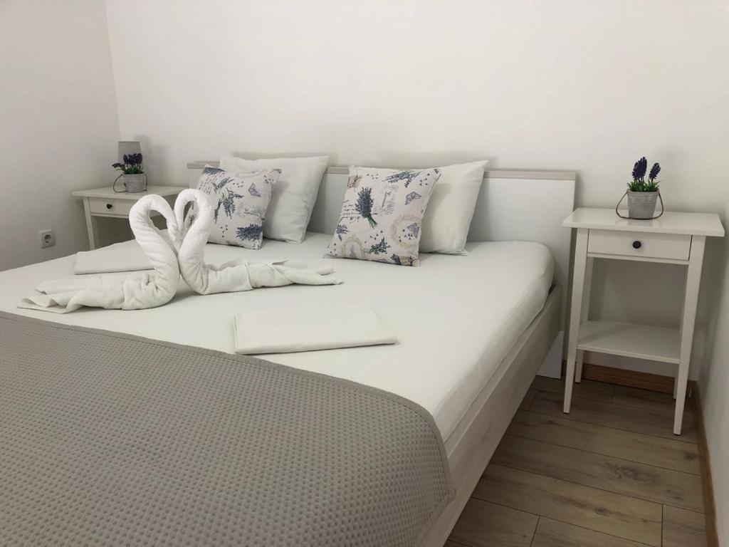 Apartments Bucica Dvori Starigrad Paklenica Dış mekan fotoğraf